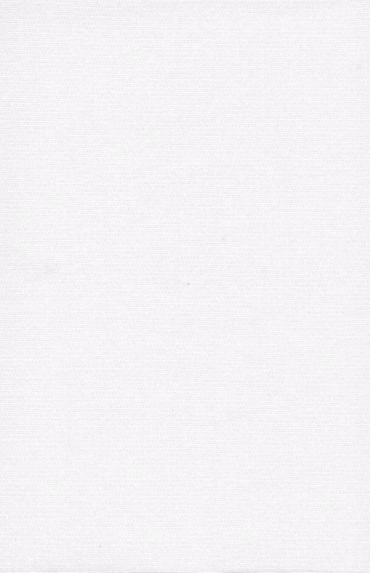 Fabric - 6300 -White 100% Polyester loopback sweatshirt