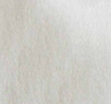 Lightweight Cotton Single Jersey - Ivory