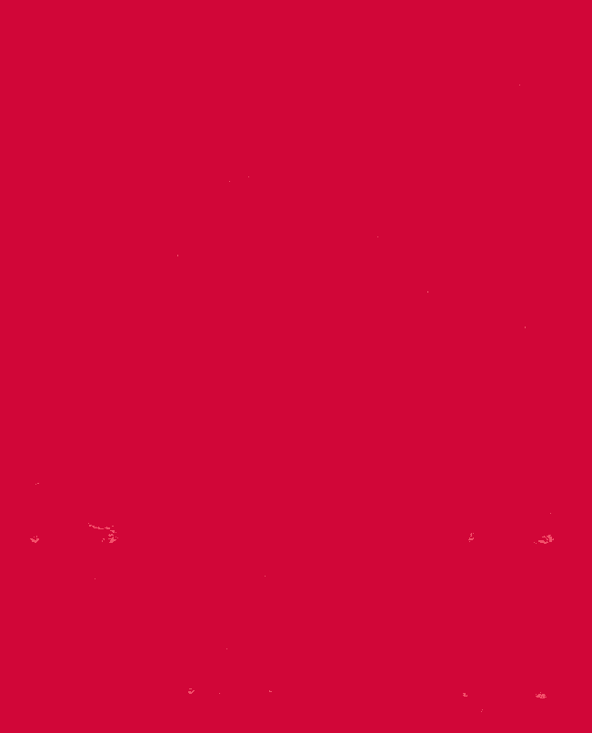 Fabric - PVC Stretch Red - 6818
